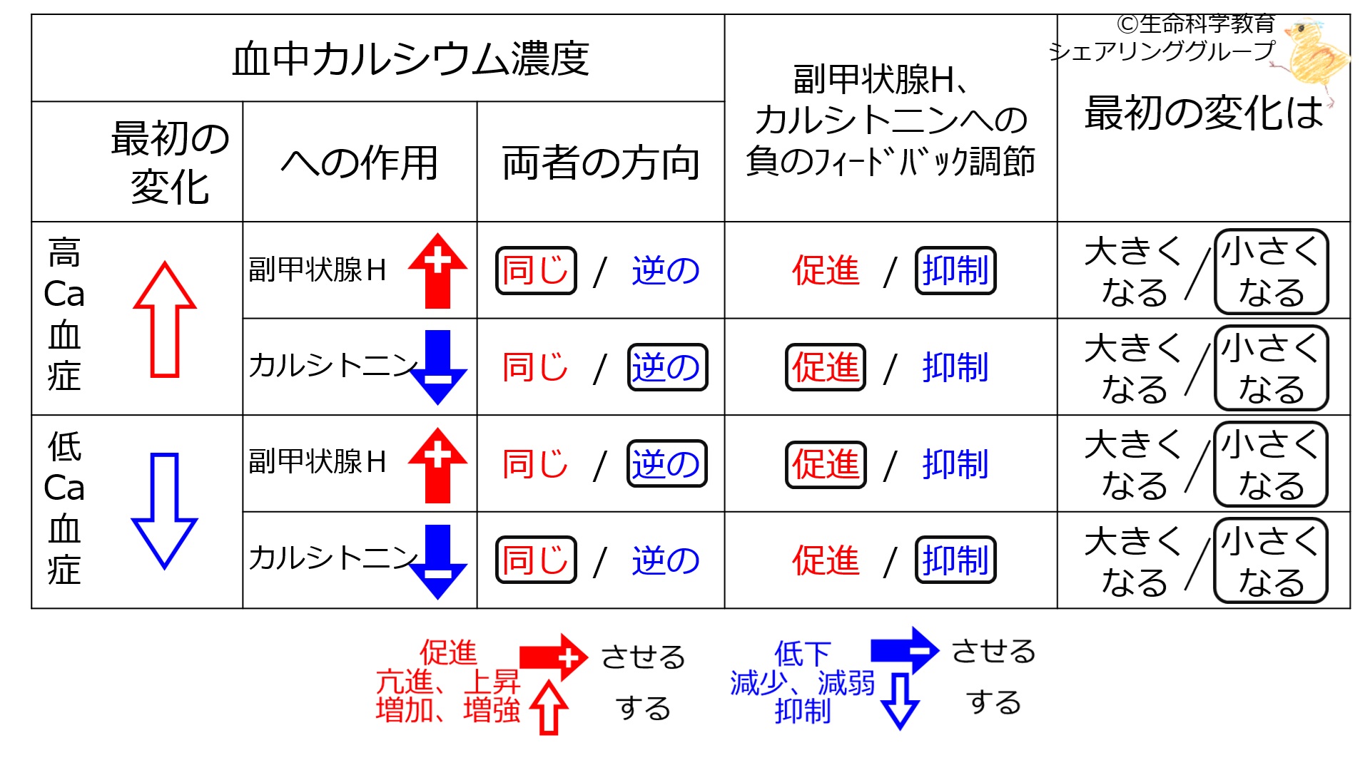 ParathyroidCTnegFB-BasicTable-Jpn.jpg