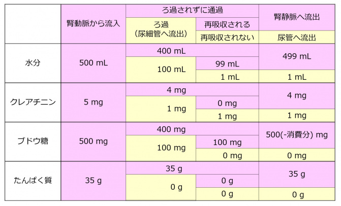 Nephronsummarytable.jpg