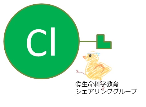 連結器_塩素.jpg