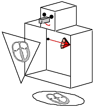 ECGnormalVentricles.gif