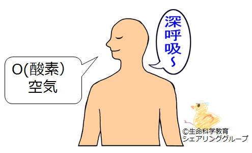 酸素.jpg