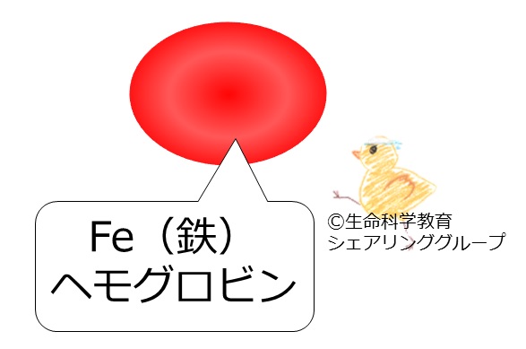 鉄.jpg