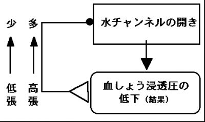 00356.jpg