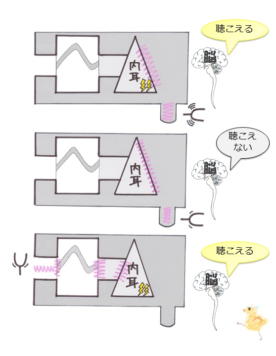 04055.jpg