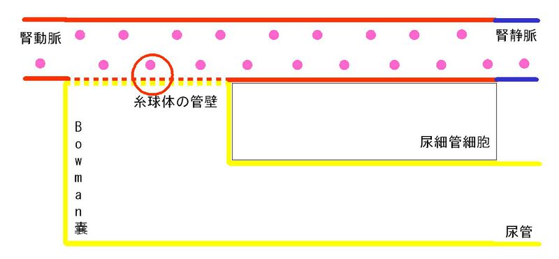ファイル:00283.jpg