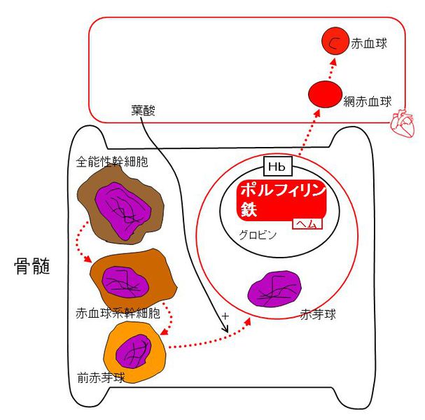 ファイル:00397.jpg