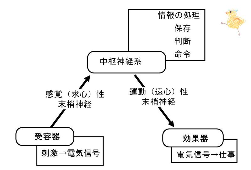 ファイル:02655.jpg