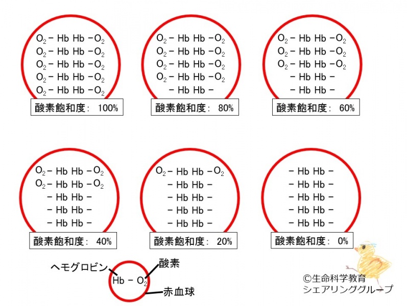 ファイル:03300.jpg
