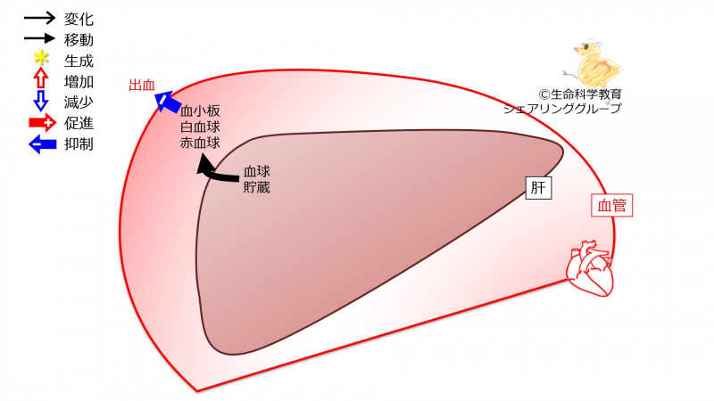 ファイル:03865.jpg