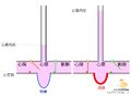 2013年7月22日 (月) 13:32時点における版のサムネイル