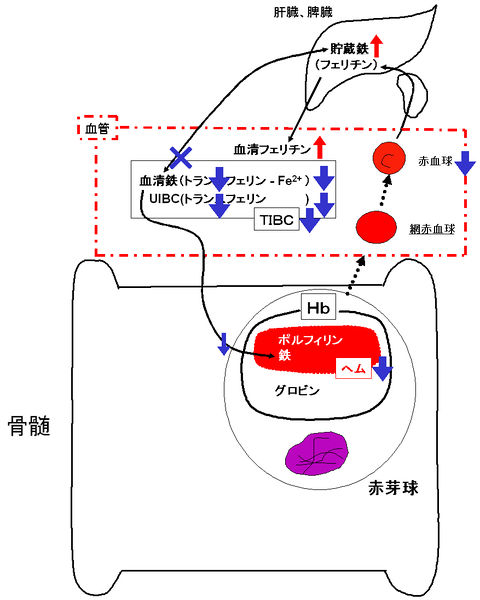 ファイル:00420.jpg