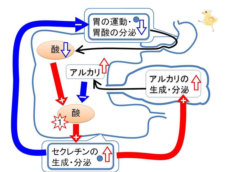 ファイル:03384.jpg