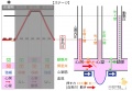 2016年3月31日 (木) 21:22時点における版のサムネイル