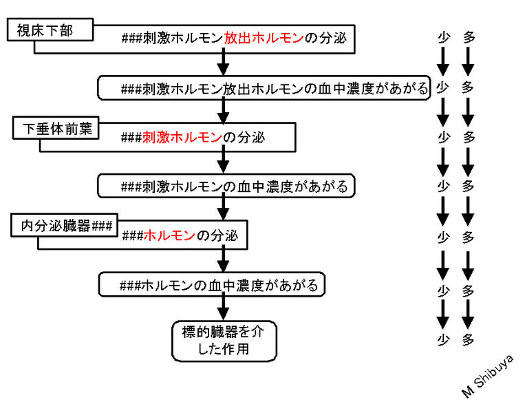 ファイル:00712.jpg