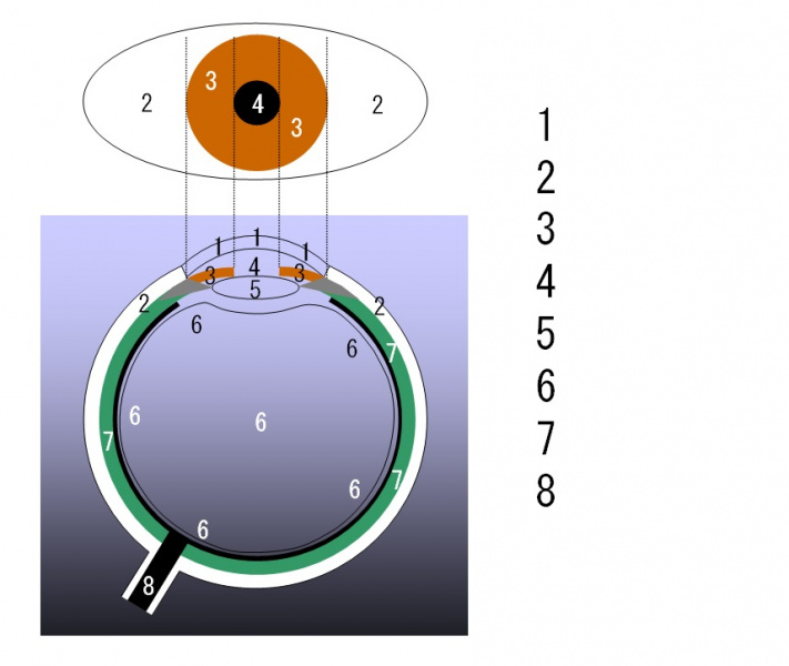 ファイル:01386-wb.jpg