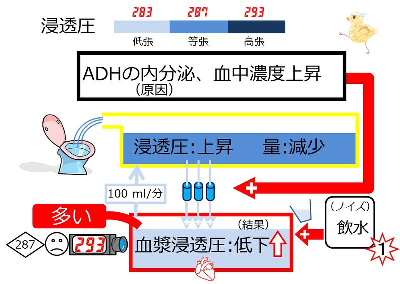 ファイル:03997.jpg