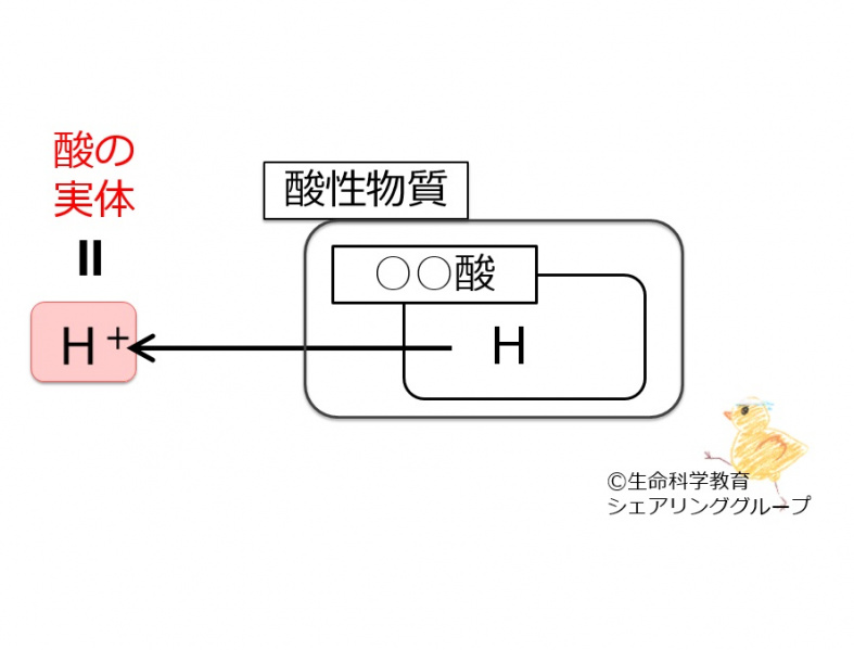 ファイル:04355.jpg