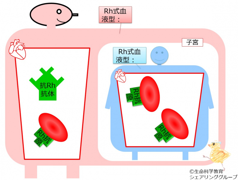 ファイル:04667-wb.jpg