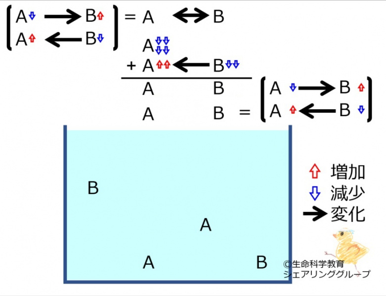 ファイル:ChemicalEquilibriumChangesByDecInMolA-4-wb.jpg