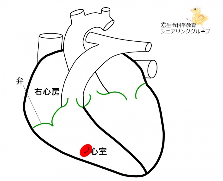 ファイル:01730-wb.jpg
