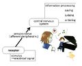 2012年3月21日 (水) 15:45時点における版のサムネイル