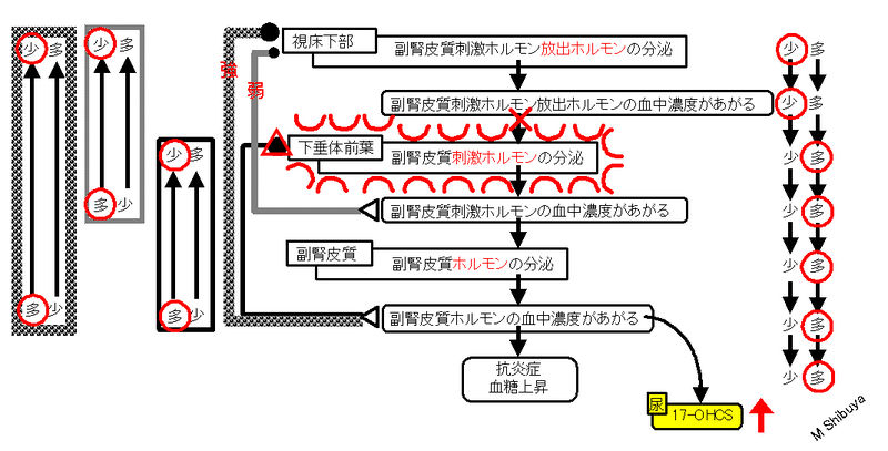 ファイル:00786.jpg