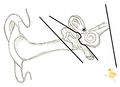 2012年9月12日 (水) 13:19時点における版のサムネイル