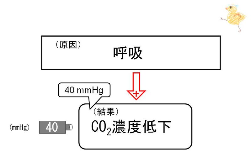ファイル:02837.jpg