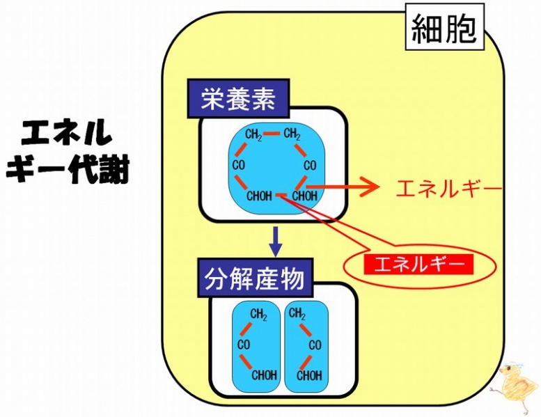 ファイル:03264.jpg
