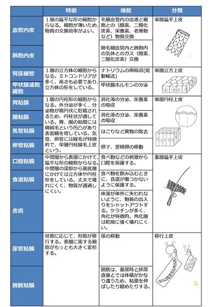 ファイル:04190.jpg