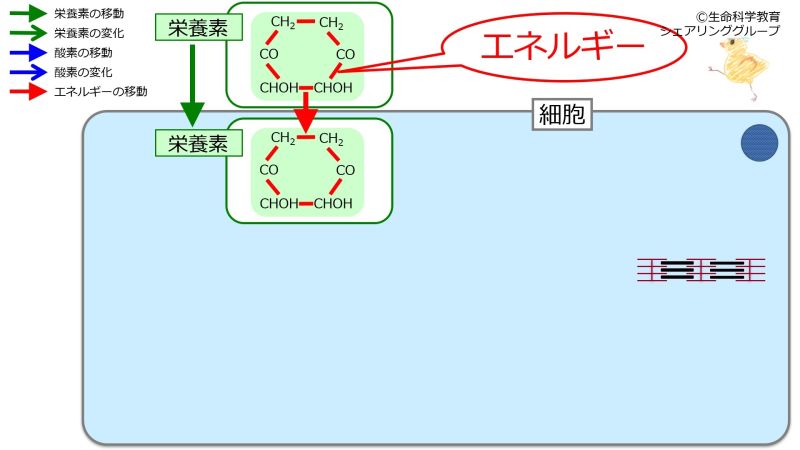 ファイル:04715.jpg