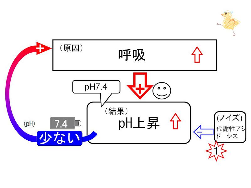 ファイル:02851.jpg