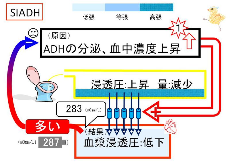 ファイル:02902.jpg