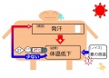 2015年3月11日 (水) 15:50時点における版のサムネイル
