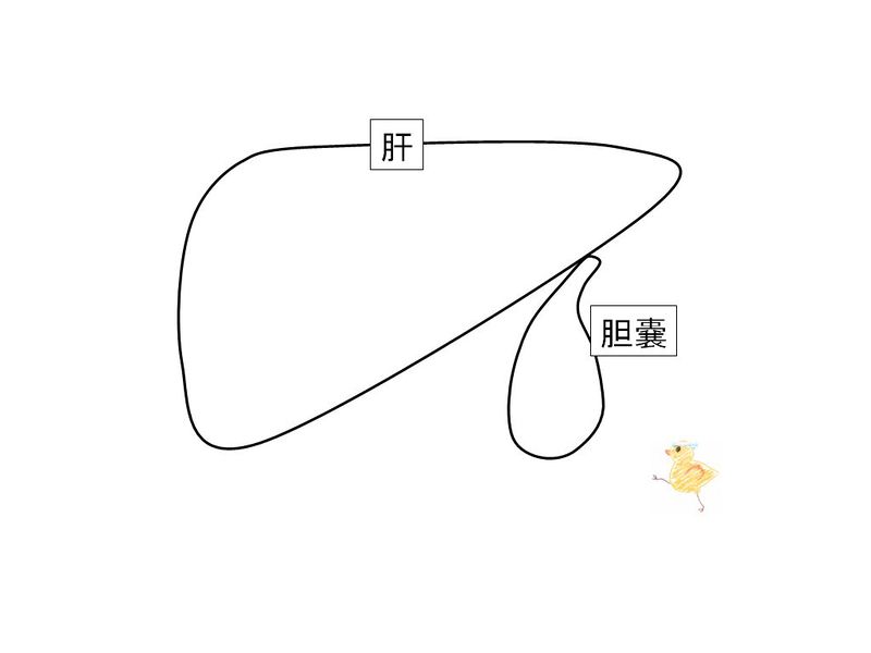 ファイル:01430.jpg