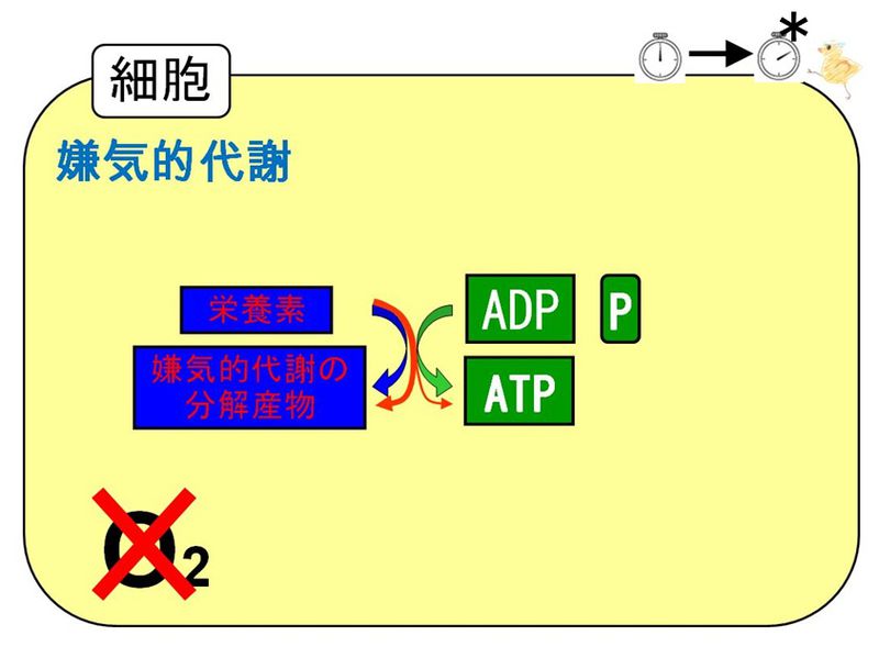 ファイル:04201.jpg