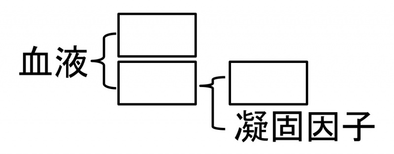 ファイル:00344-wb.jpg