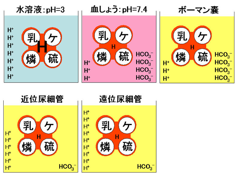 ファイル:00621.jpg
