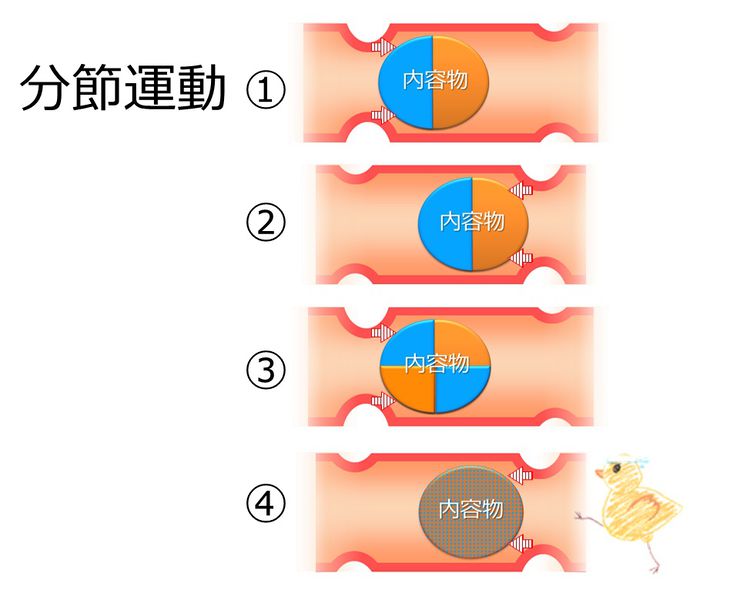 ファイル:04067.jpg