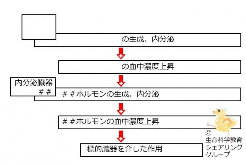 ファイル:04625-wb.jpg