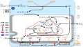 2025年2月13日 (木) 17:08時点における版のサムネイル