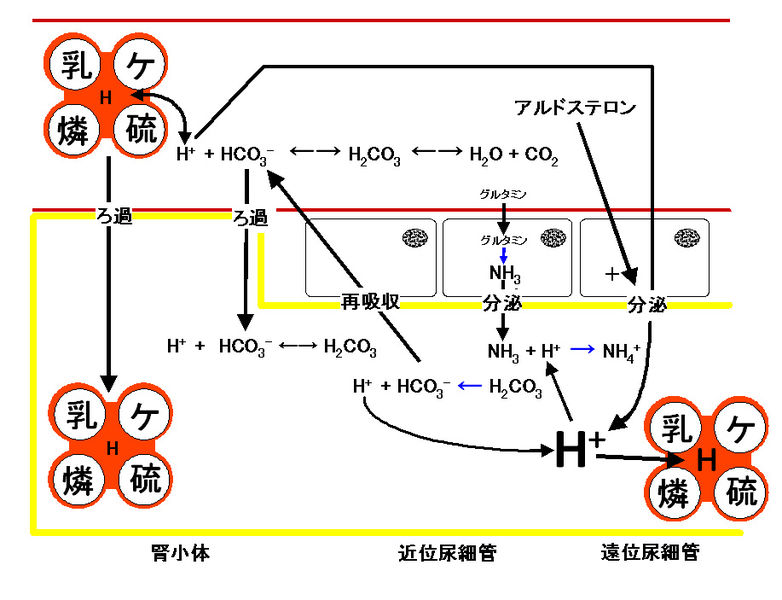 ファイル:00630.jpg