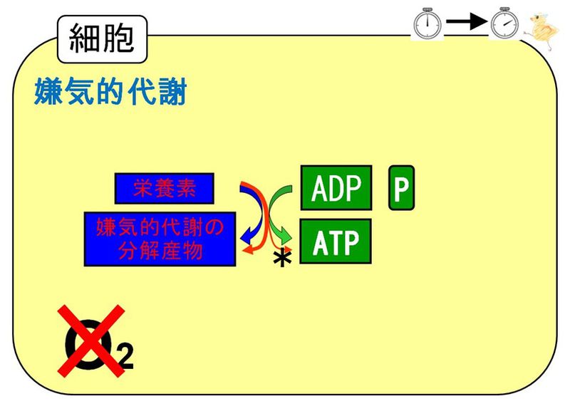ファイル:04207.jpg