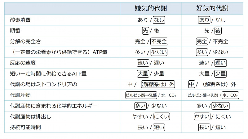 ファイル:04441.jpg