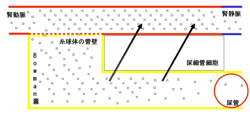 ファイル:00282.jpg