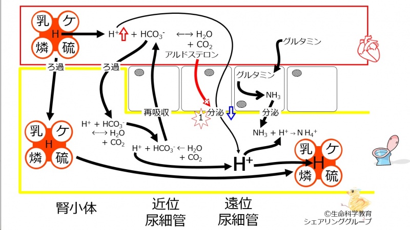 ファイル:00705.jpg