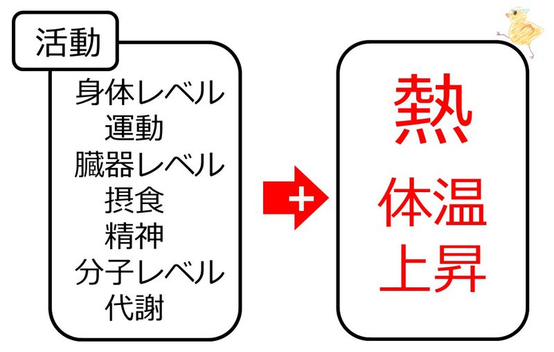 ファイル:03969.jpg