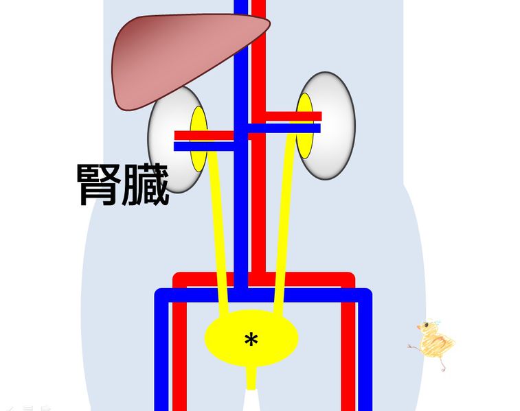 ファイル:04075.jpg