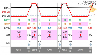 /wiki/images/thumb/0/0a/HeardSoundInterval.jpg/400px-HeardSoundInterval.jpg