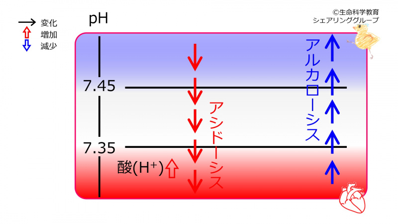 ファイル:00648-wb.jpg